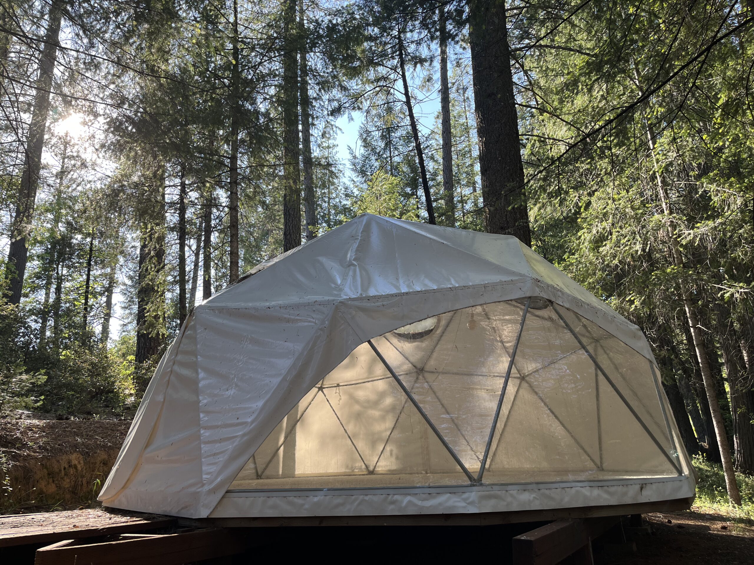 Dome