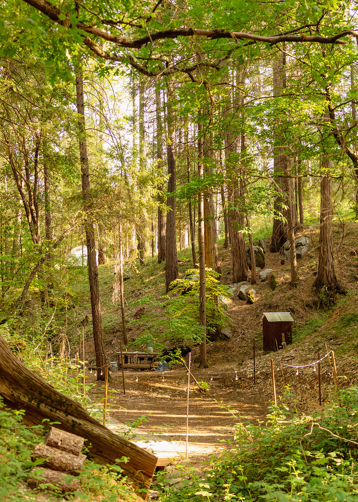 Outdoor Classroom