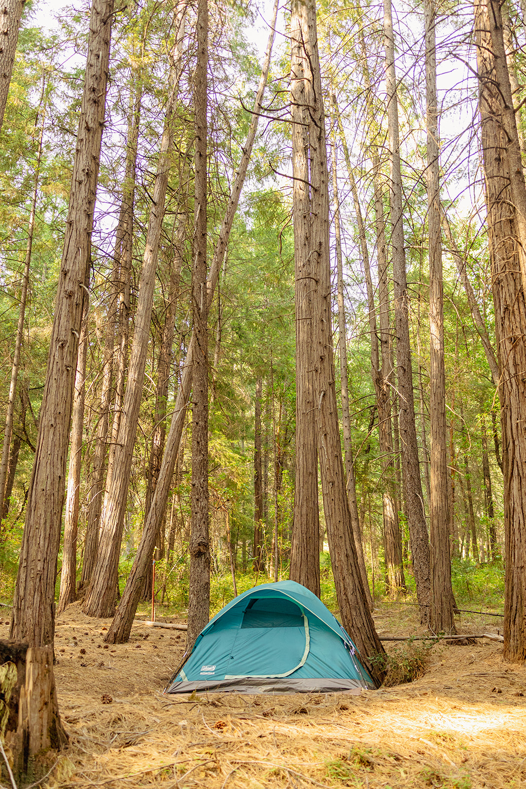Camping